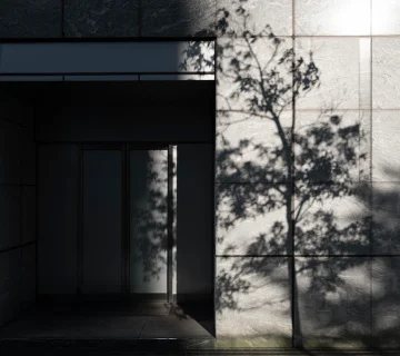 طراحی نمای مینیمال ساختمان با دیوار سنگی خاکستری و سایه درخت روی سطح آن، نشان‌دهنده سادگی و زیبایی در طراحی مینیمال معماری مدرن.